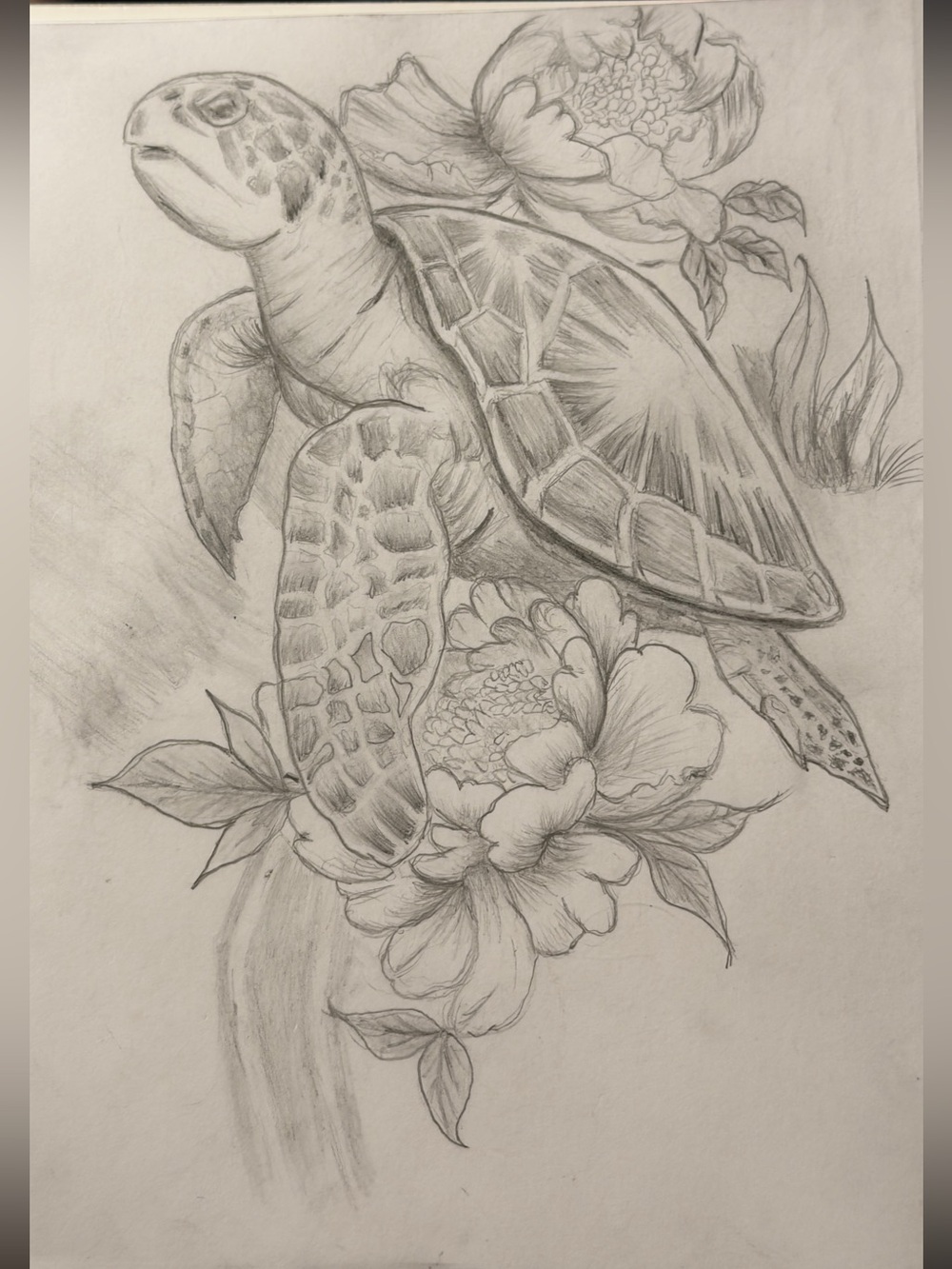 Pencil Sea Turtle Sketch with Floral Accents original sketch made by us